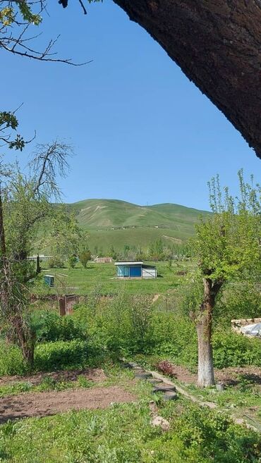 участки балыкчы: 5 соток, Айыл чарба үчүн, Кызыл китеп