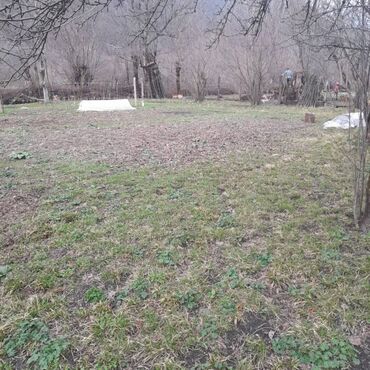 Torpaq sahələrinin satışı: 8 sot, Tikinti, Bələdiyyə — 13