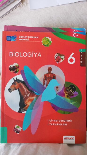 6 cı sinif fiziki tərbiyə kitabı pdf: Bu kitab ingilis dili dərsləri üçün nəzərdə tutulmuşdur. Kitabda