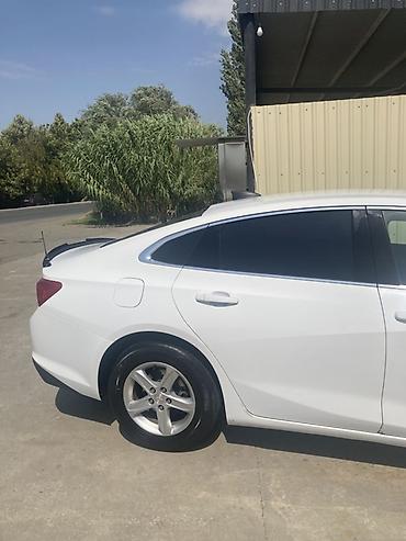 malibu spoiler: Chevrolet Malibu: 1.5 l | 2019 il 249353 km Sedan — 3