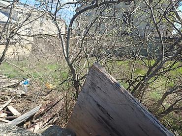 sebail: 1 sot, Tikinti, Kupça (Çıxarış) — 4
