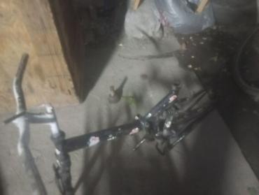 mtb: Велосипед Alton (горный/кросс-кантри), рама с тросами и вилкой — 2