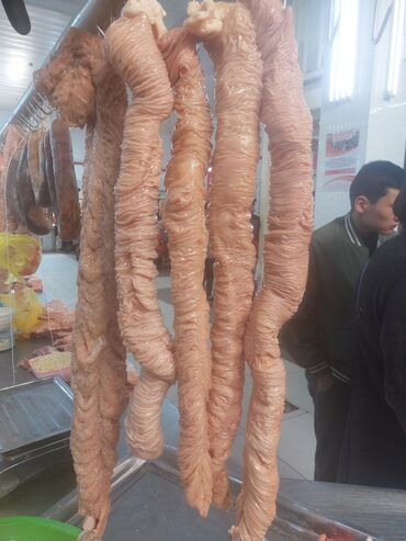 Другие услуги: Чучук карын, карта сатылат — 8