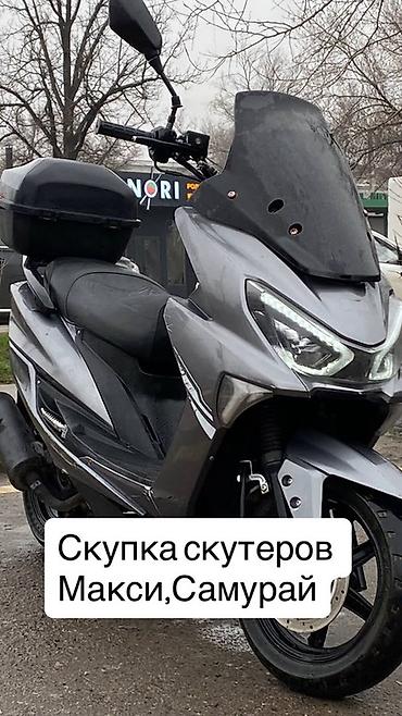 купить мопед: Скупка скутеров Maxi, Samurai Скупка✅ Принимаем к выкупу скутеры — 1