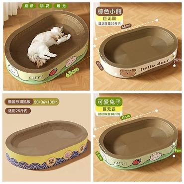 Зоотовары: ПРОДАЮ КОШАЧЬЮ МЯТУ(АНТИСТРЕСС),ПОРАДУЙТЕ СВОГО КОТИКА ТАКОЙ — 5