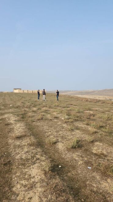 Torpaq sahələrinin satışı: 54 sot, Kənd təsərrüfatı, Maklerlər narahat etməsin, Kupça (Çıxarış) — 5