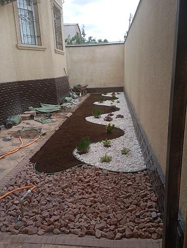 Газон: Газон и Автополив жасайбыз баасы келишим турдо болот! — 15