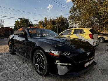 дишовый машины: Ижарага берем: Жеңил унаа, Жеке ижара
