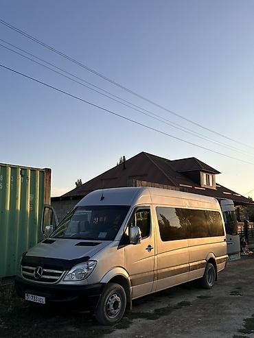 sprinter 413: Mercedes-Benz Спринтер: 2008 г., 2.7 л, Автомат, Дизель, Бус — 2