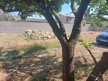 kiraye ev bine: Tikinti, Mülkiyyətçi, Kupça (Çıxarış) — 9
