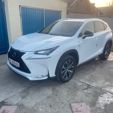Lexus: Lexus NX: 2017 г., Кроссовер — 29