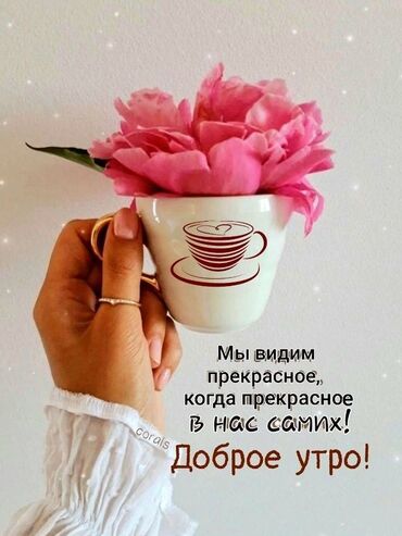 суточный квартира рядом: Срочно сниму 2х комнатную квартиру за 200 сом в 8-9-10 мкр, в районе