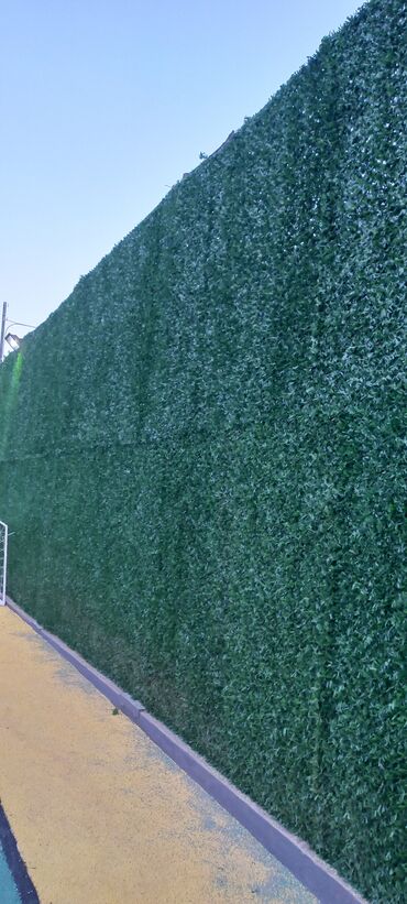 Tennis masaları: Tennis masaları — 5