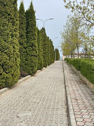 котедж пантера: Коттедж, Кейсар, Чолпон-Ата — 9