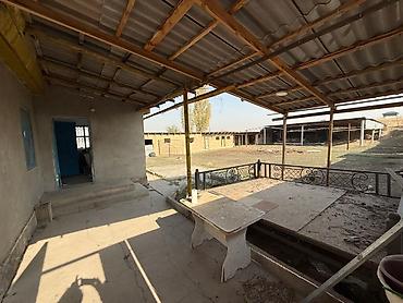 Продажа сельхоз предприятий: Сдается действующая фермерская база с помещениями для содержания — 10