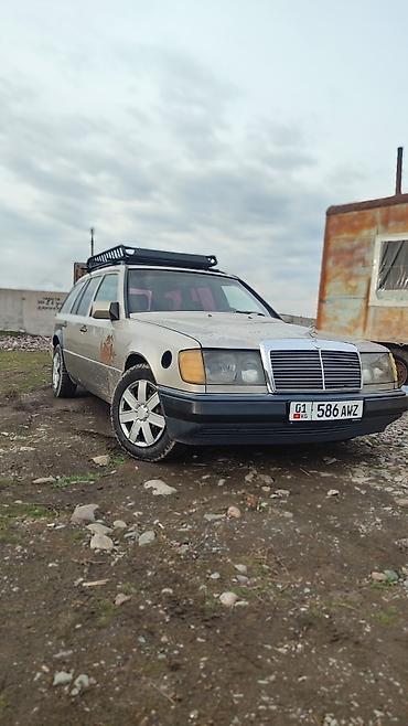 Mercedes-Benz: Mercedes-Benz W124: 1989 г., 2.9 л, Механика, Дизель, Универсал — 1