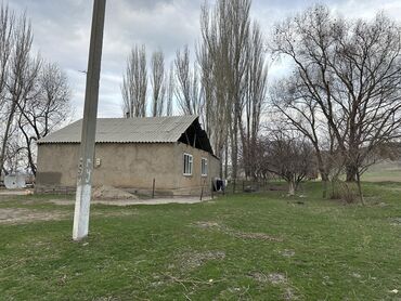 ак ордо дом куплю: Үй, 250 кв. м, 4 бөлмө, Менчик ээси, Эски ремонт