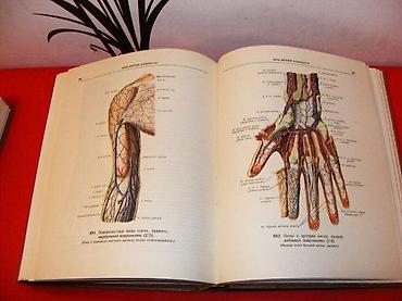 gitare prodaja: Anatomski atlas čoveka 1-3 r. d. Sinelnikov na ruskom Tri anatomska — 9