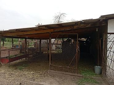 Распашные ворота: Продается большой дом с ПОДВАЛОМ! Панфиловский район, с.Чалдовар ул — 26