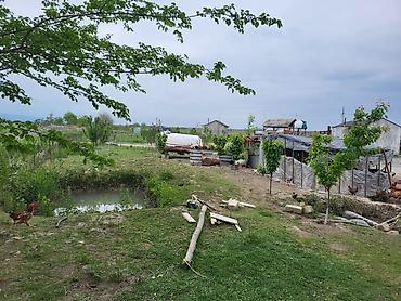 Torpaq sahələrinin satışı: 26000 sot, Kənd təsərrüfatı, Kupça (Çıxarış) — 4
