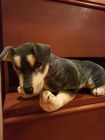 Oyuncaqlar: Oyuncaq it. Çin istehsalı. Uzunluğu 70 - 75 sm. Qiyməti 50 - manat -da lalafo.az — 8 Oyuncaqlar: Oyuncaq it. Çin istehsalı. Uzunluğu 70 - 75 sm. Qiyməti 50 - manat — 8