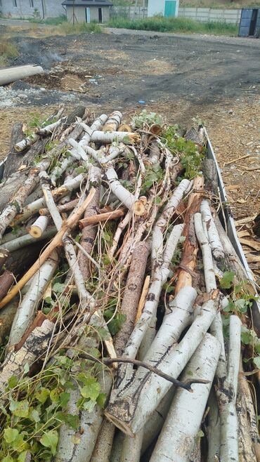 купля дрова: Отун