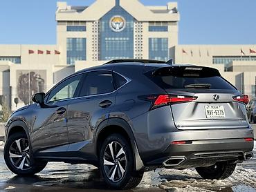 Lexus: Lexus NX: 2020 г., 2 л, Автомат, Бензин, Кроссовер — 7