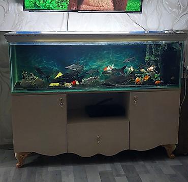 akvarium qızdırıcı: Dördbucaq akvarium, Boş, 300 l — 1
