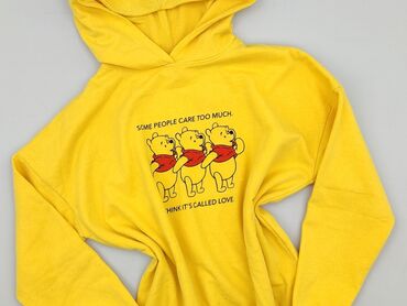 latynka bluza: Winnie The Pooh, Bluza z kapturem damska, rozmiar XS