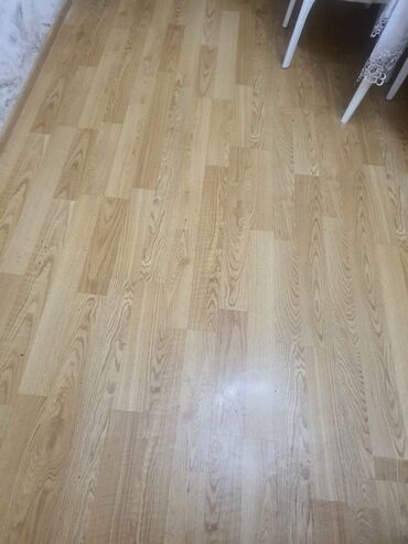 продам фикус бенджамина: 16 kv laminat satilir