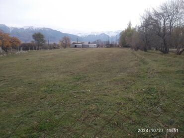 Сельхоз предприятия: Продаю Кошара, 50 соток, Действующий, Частично с оборудованием — 17