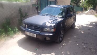 субару форик: Subaru Forester: 2003 г., 2.5 л, Автомат, Газ, Кроссовер