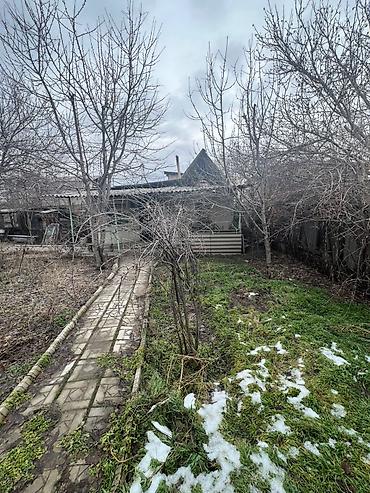 Продажа домов: Дом, 38 м², 2 комнаты, Собственник, Старый ремонт — 11