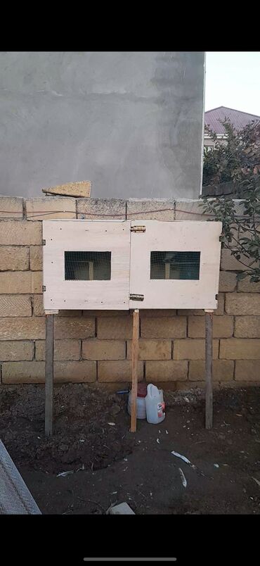 Kənd təsərüfatı heyvanları üçün digər mallar: Taxta göyərçin yuvası
