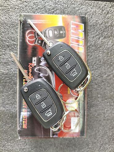 Система бесключевого доступа MILANO (Remote Control Keyless Entry