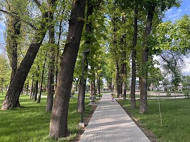 Продажа таунхаусов: Продаётся стильный современный дом (140 м²) Расположен в тихом и — 6