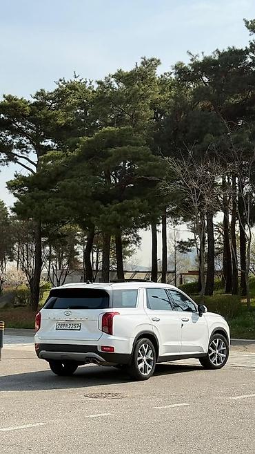 drive: Hyundai Palisade: 2019 г., 2.2 л, Автомат, Дизель, Кроссовер — 7