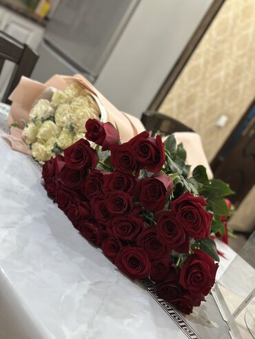 саженцы для сада: Көчөттөр гүлдүн: Розалар, Өзү алып кетүү, Акылуу жеткирүү