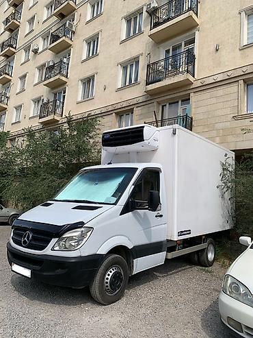 морозильник спринтер: Легкий грузовик, Mercedes-Benz, Стандарт, 3 т, Б/у — 3
