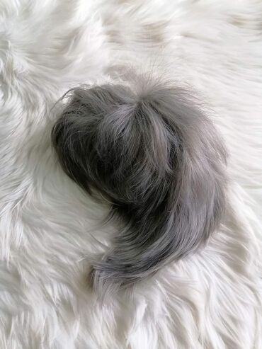 Perike i klipse: Perike
Cena 3200din na lalafo.rs — 16 Perike i klipse: Perike
Cena 3200din — 16