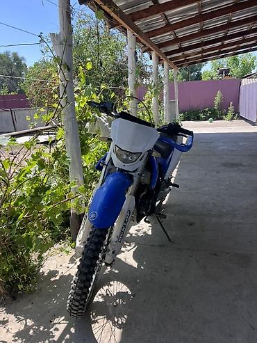 Мотоциклы: Эндуро Yamaha, 250 куб. см, Бензин, Взрослый, Б/у — 3
