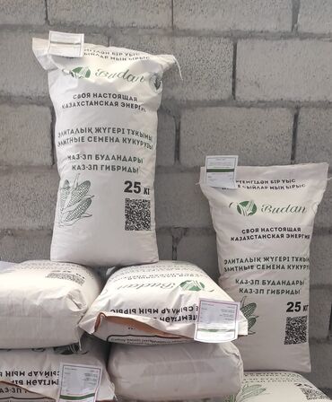 семена расторопши бишкек: Семена и саженцы Кукурузы, Бесплатная доставка
