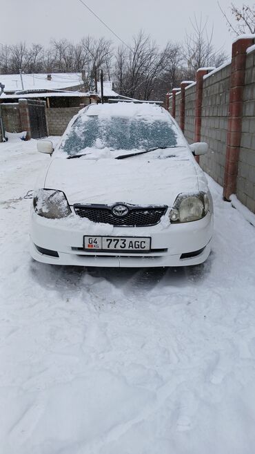 Toyota: Toyota Corolla: 2002 г., 1.8 л, Автомат, Бензин, Универсал