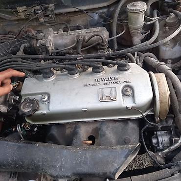 Honda: Honda Civic: 1989 г., 1.6 л, Механика, Бензин, Универсал — 11