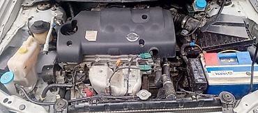 краски на авто: Nissan Primera: 2002 г., 1.8 л, Механика, Бензин, Хэтчбэк — 5