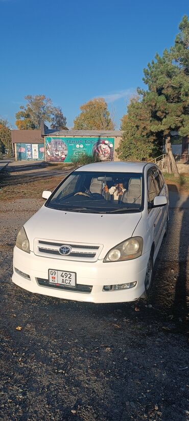 решетка на пассат б4: Toyota Ipsum: 2003 г., 2.4 л, Автомат, Бензин, Минивэн