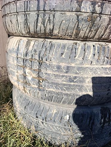 diski r18: Продам шины б/у, летние. Размер: 245 Х 50 Х 20. 3 штуки. Состояние — 1