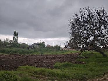 torpaq mingecevir: 10 sot, Tikinti, Mülkiyyətçi, Kupça (Çıxarış) — 10