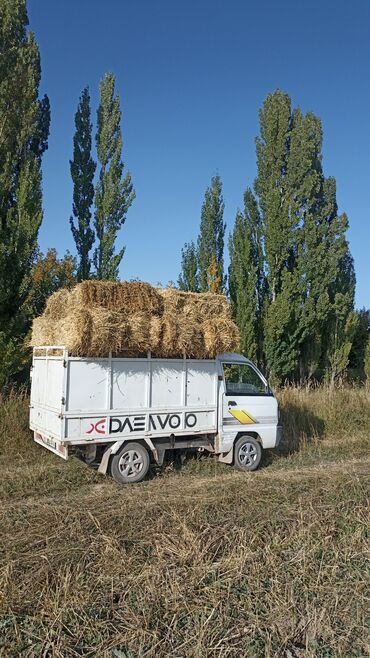 фольксваген фургон: Daewoo Labo: 2001 г., 0.8 л, Механика, Бензин, Фургон