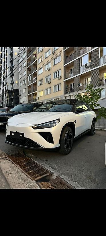 Hozon: Hozon Neta L: 2024 г., 1.5 л, Гибрид, Кроссовер — 1